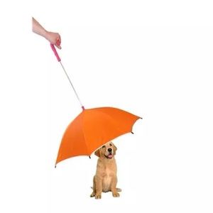 Umbrella With Reflective Lining And Leash Holder